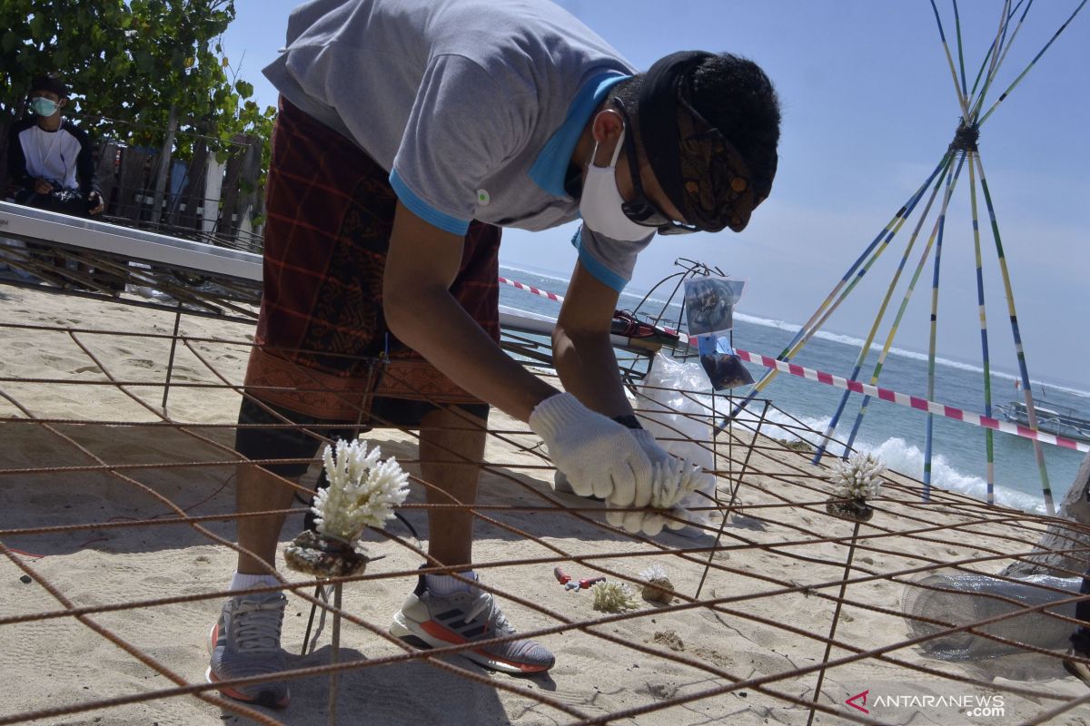 KKP: Masyarakat mulai rawat kebun karang di perairan Bali