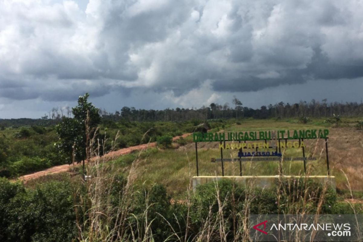 Menelisik polemik sawah di Bunda Tanah Melayu (I)