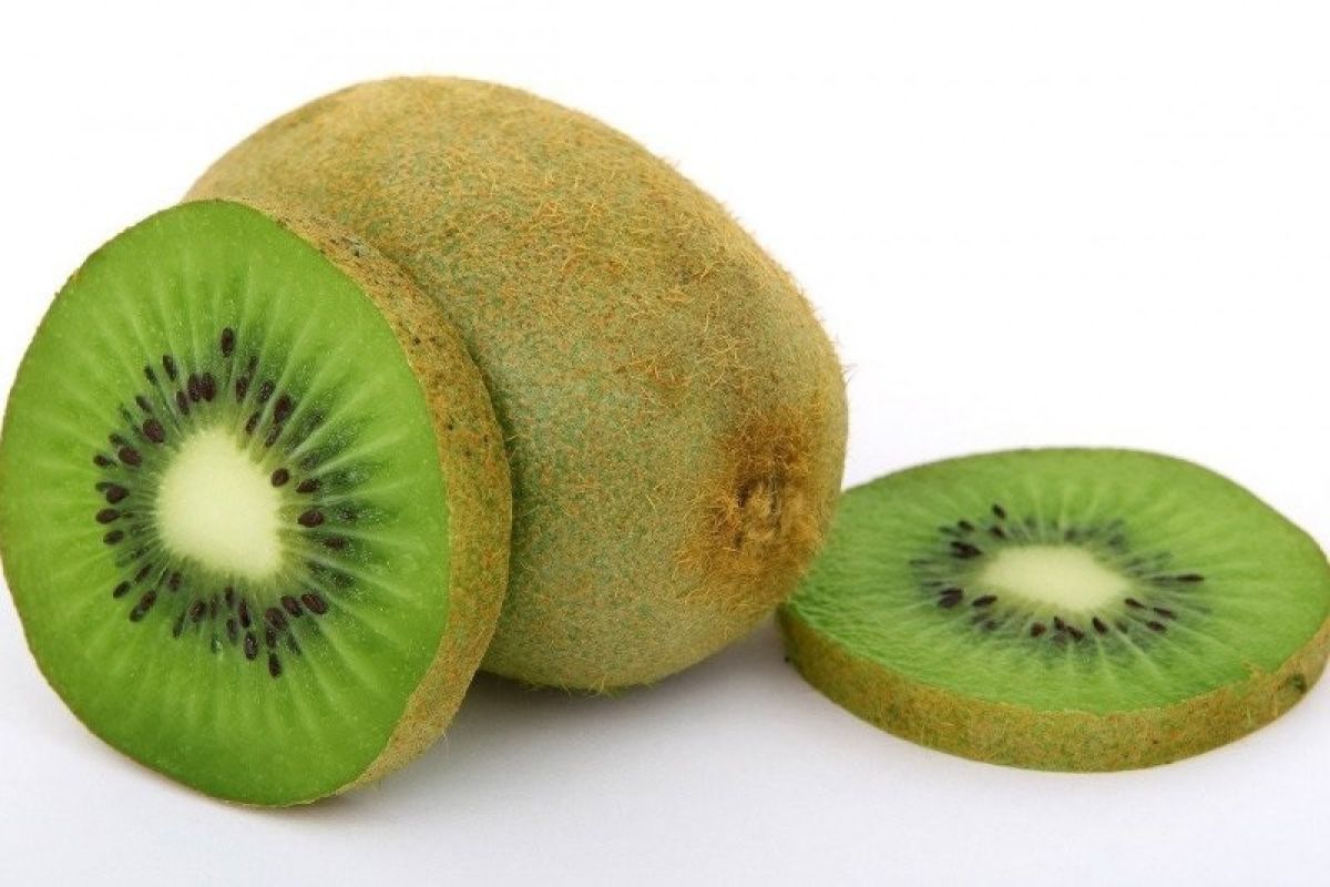 Konsumsi buah kiwi bisa bantu atasi sembelit kronis