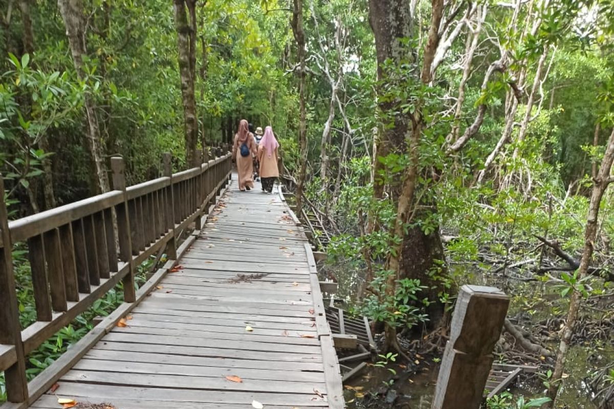 Pokdarwis sayangkan sarana mangrove Sukadana banyak rusak