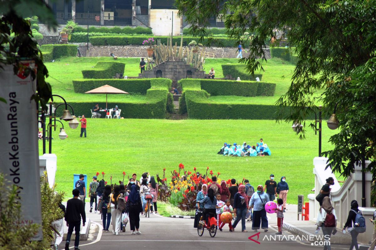 Lampu hias "Glow" Kebun Raya Bogor tak pengaruhi tanaman