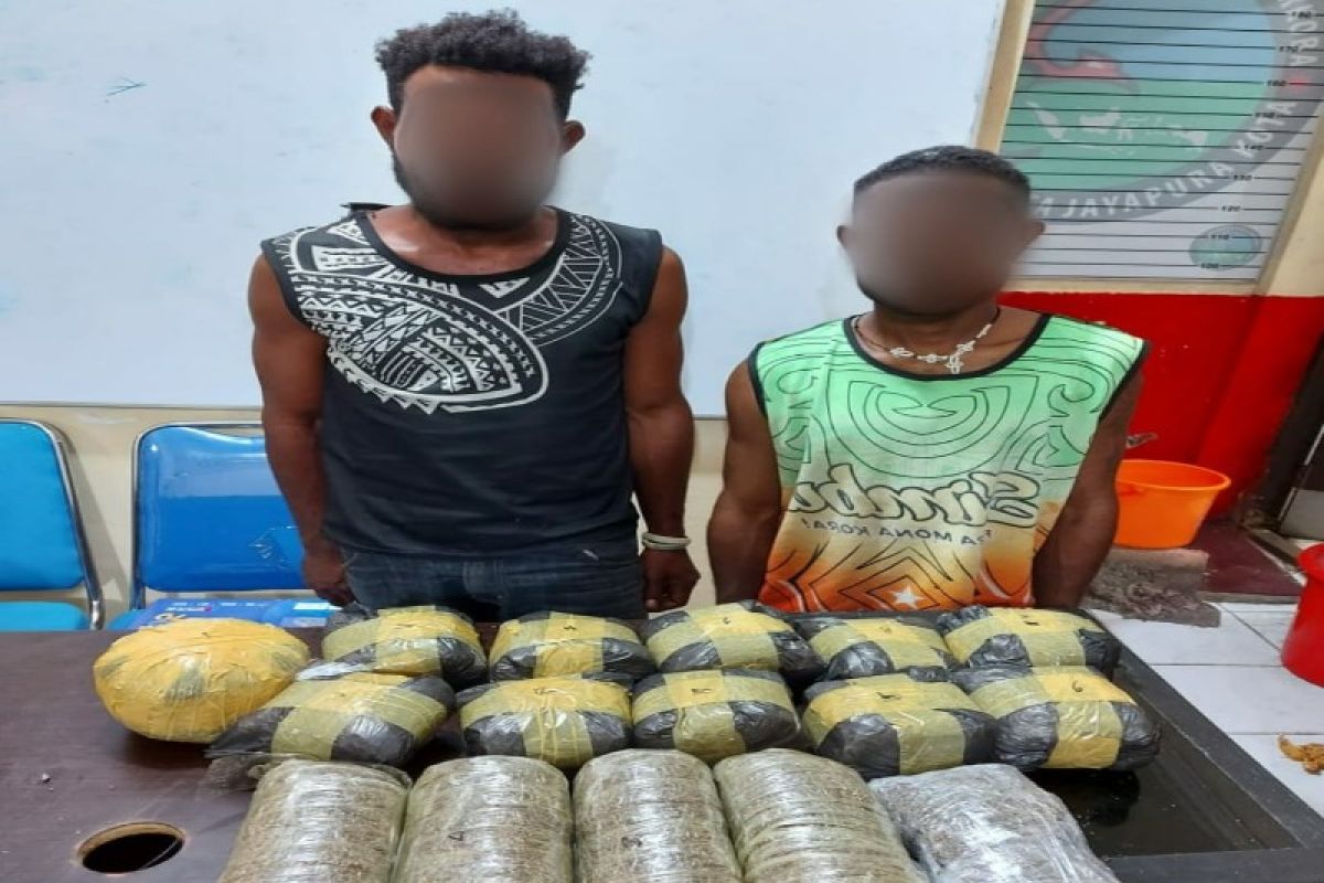 Miliki 3,8 kg ganja, polisi tangkap dua pengedar berkebangsaan PNG