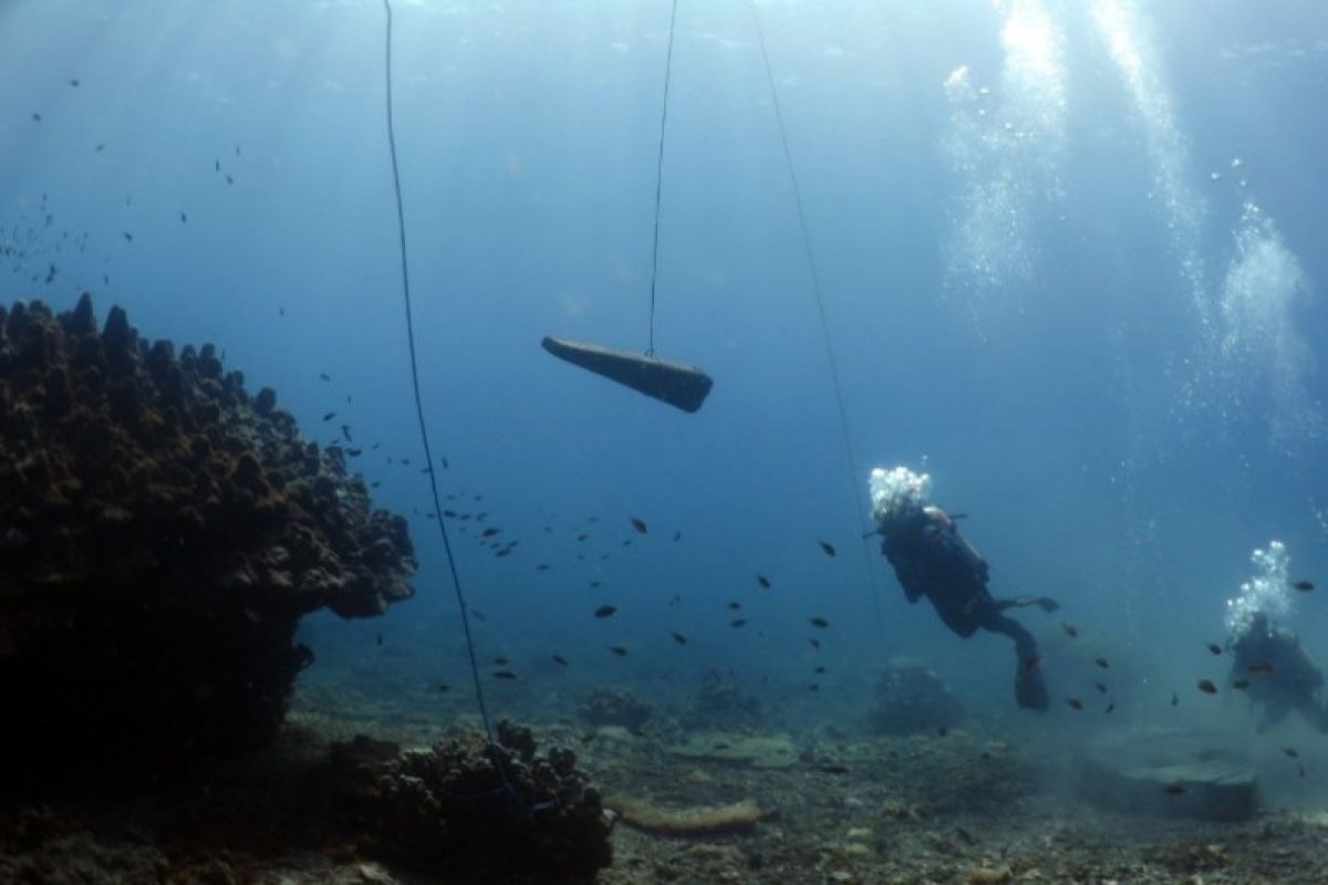Dukung pelestarian lingkungan, PLTU Batang bangun terumbu karang buatan