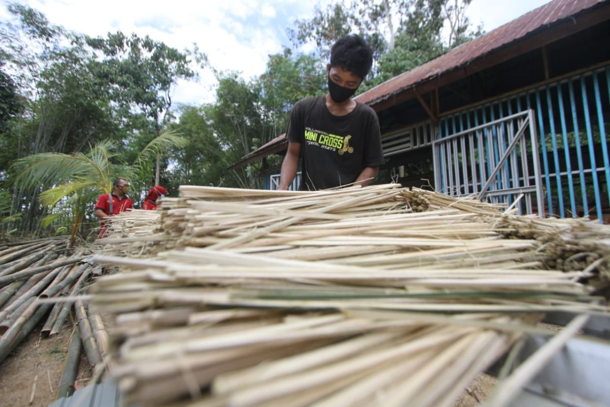 Pemprov Kalsel optimalkan tanaman bambu dukung peningkatan UMKM