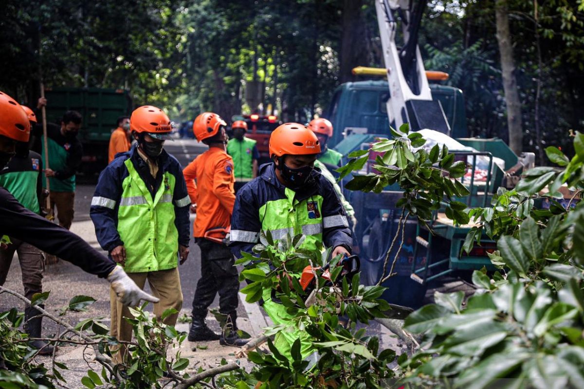Bima Arya ingatkan warga Kota Bogor waspadai bencana hidrometeorologi