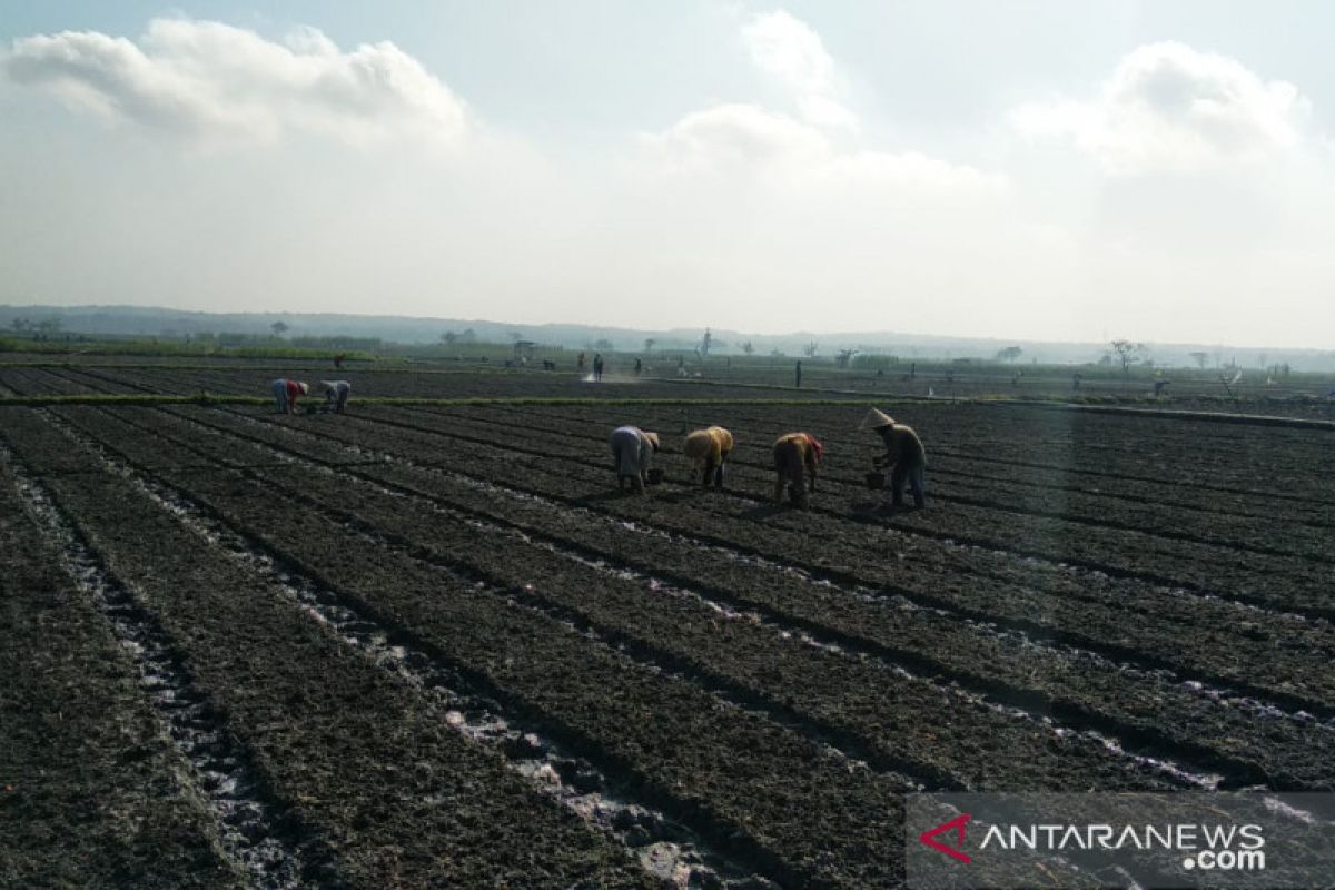 BMKG Yogyakarta memberikan sekolah lapang iklim operasional kepada petani