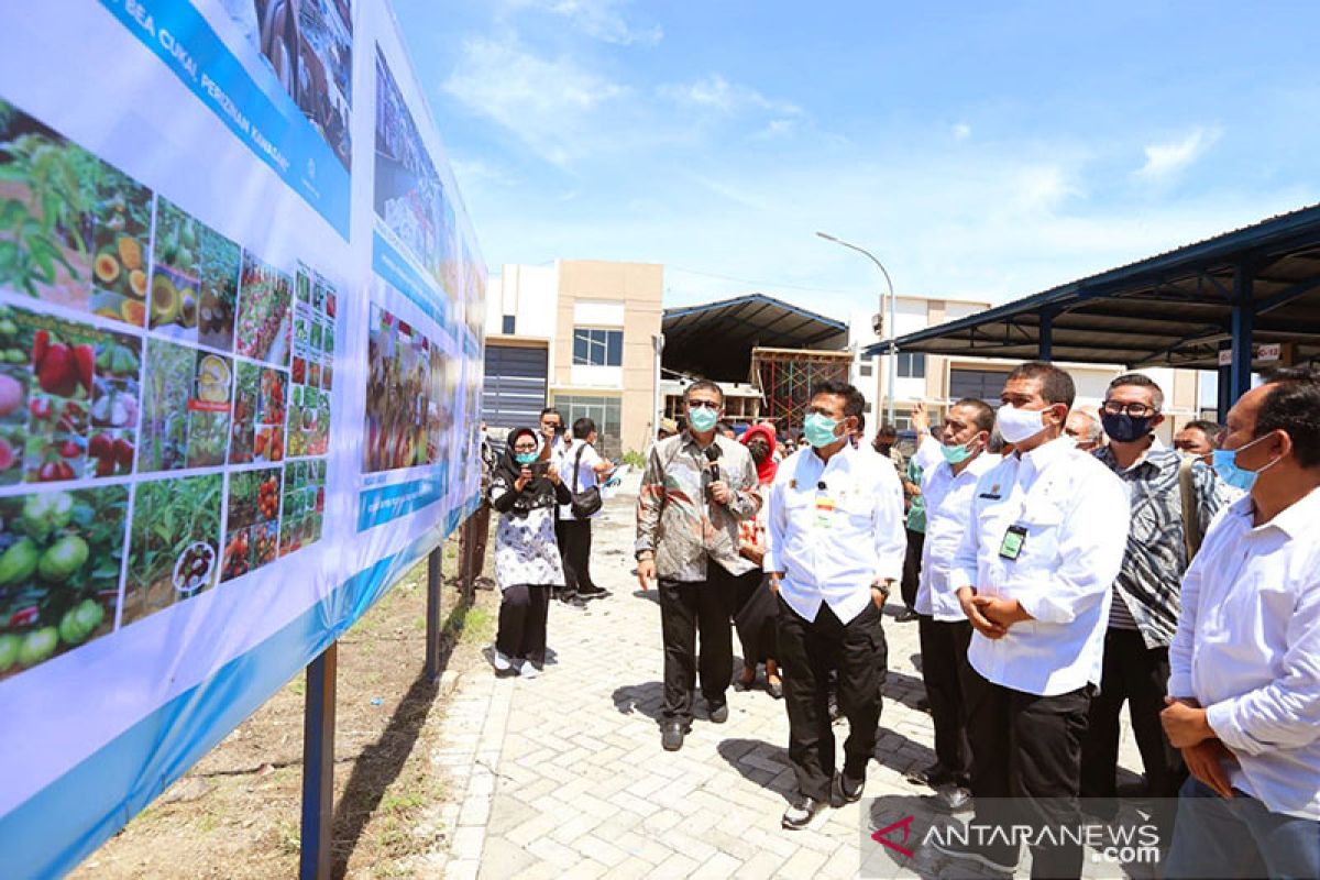 Percepat proses ekspor, Mentan dukung layanan karantina sayur dan buah