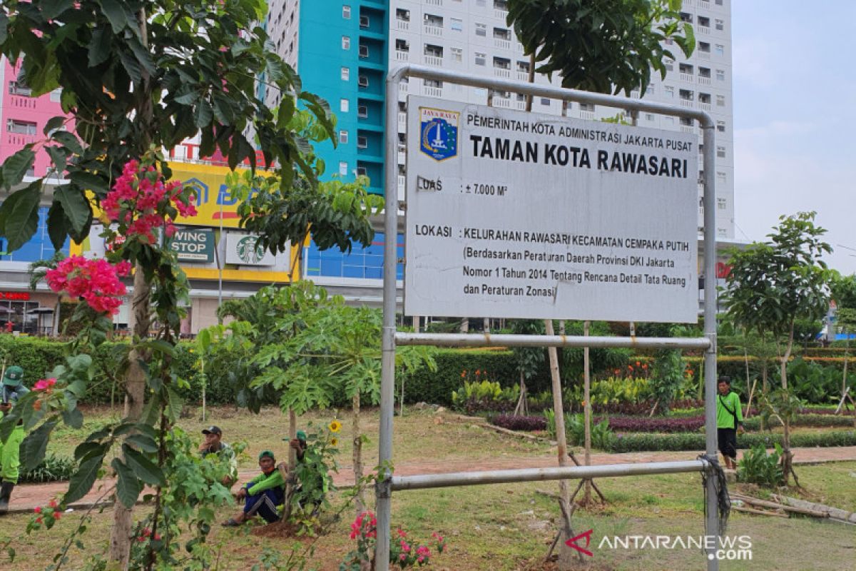 Tanah kosong milik Pemkot Jakpus direncanakan jadi pertanian perkotaan