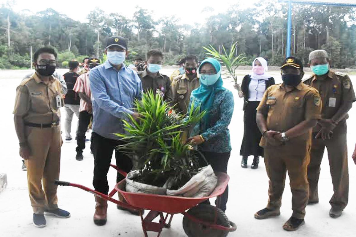 Pemkab Barut  dorong masyarakat kembangkan jahe merah