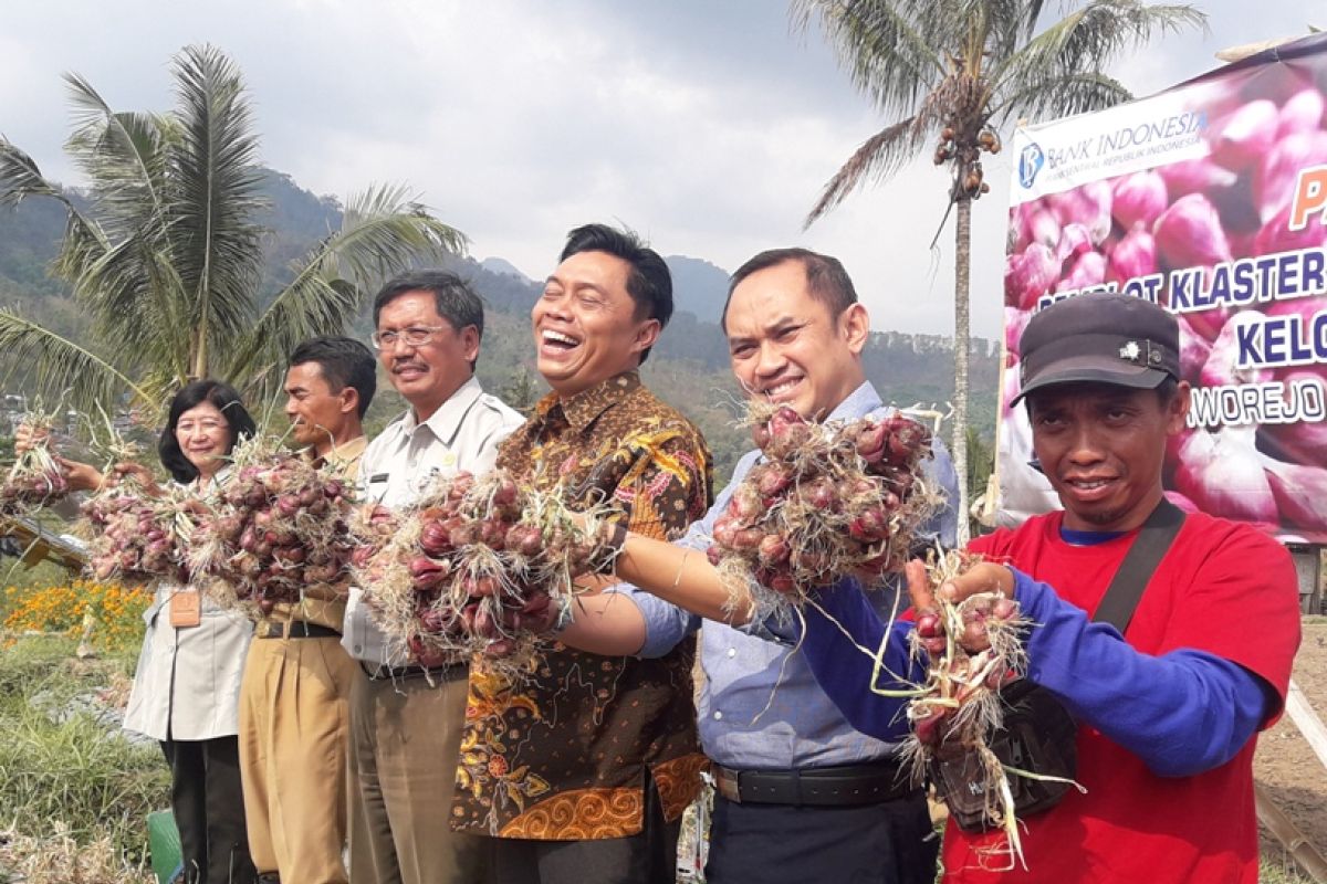 Survei konsumen BI Malang indikasikan kondisi ekonomi mulai membaik