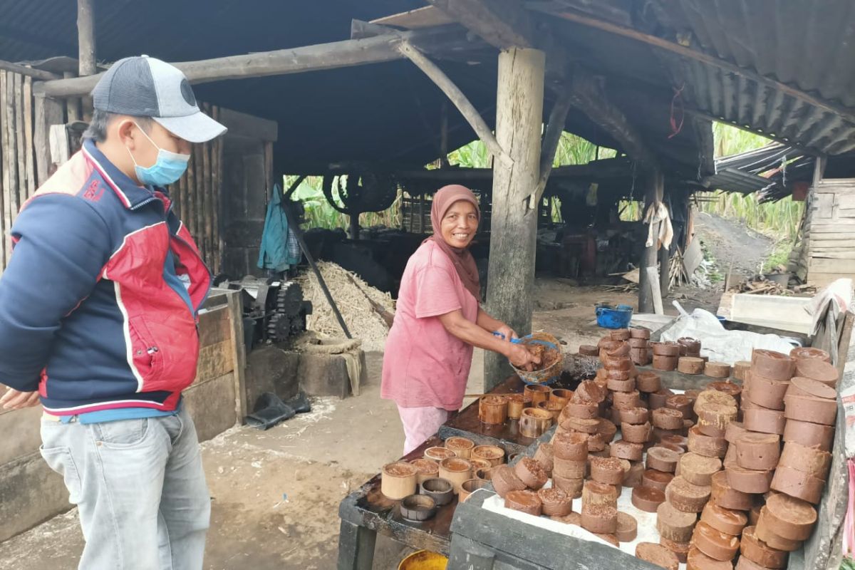 Ketua DPD dorong produksi gula aren dan perbaikan tata niaga