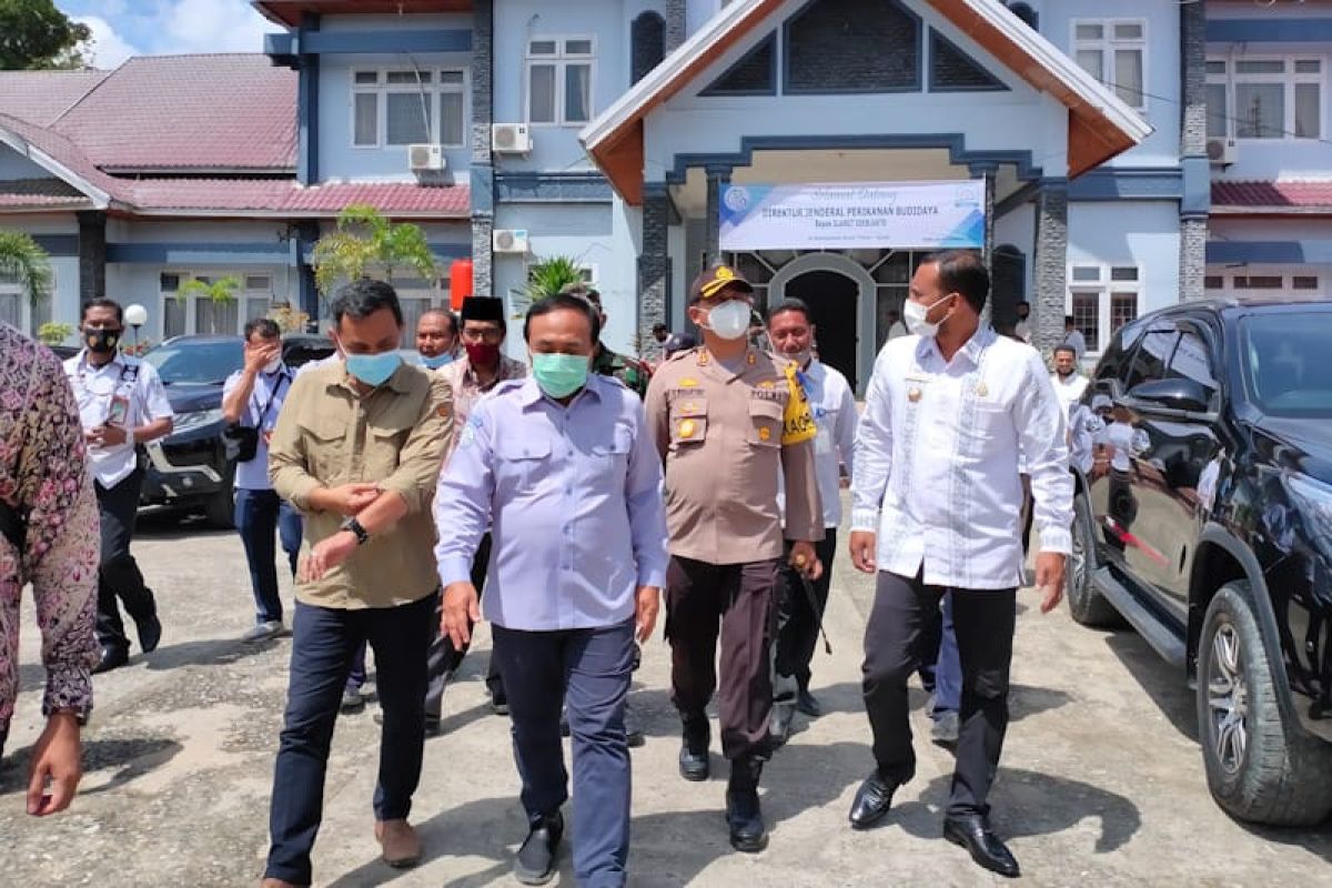 Begini klaster tambak udang nasional di Aceh Timur