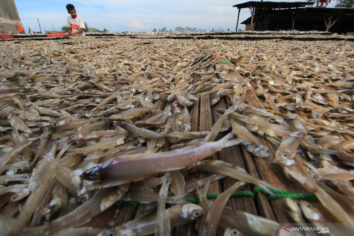 Kejati NTB pantau penyelesaian masalah bansos ikan teri COVID-19