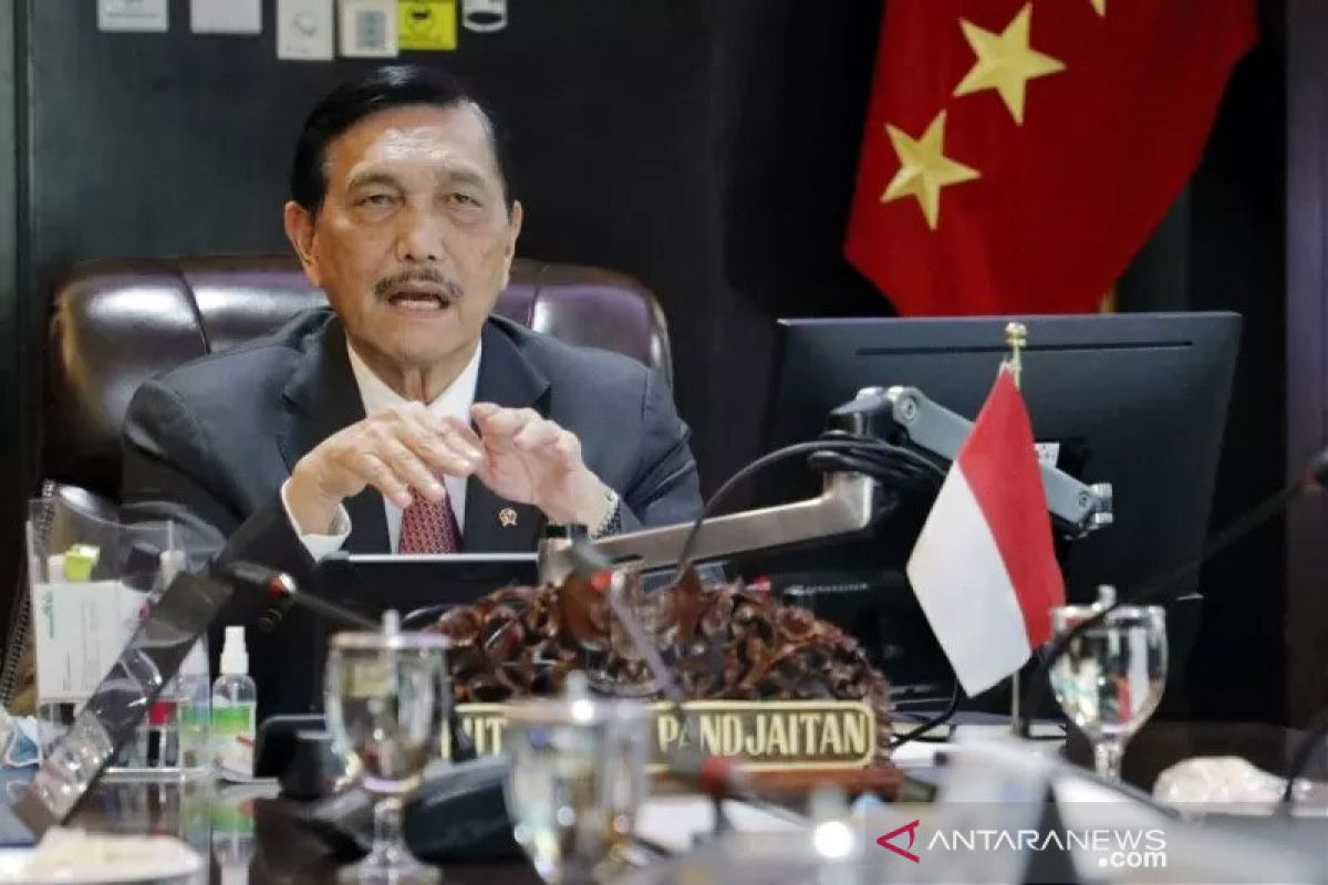 Luhut Binsar undang Singapura untuk proyek 'food estate' hingga mangrove