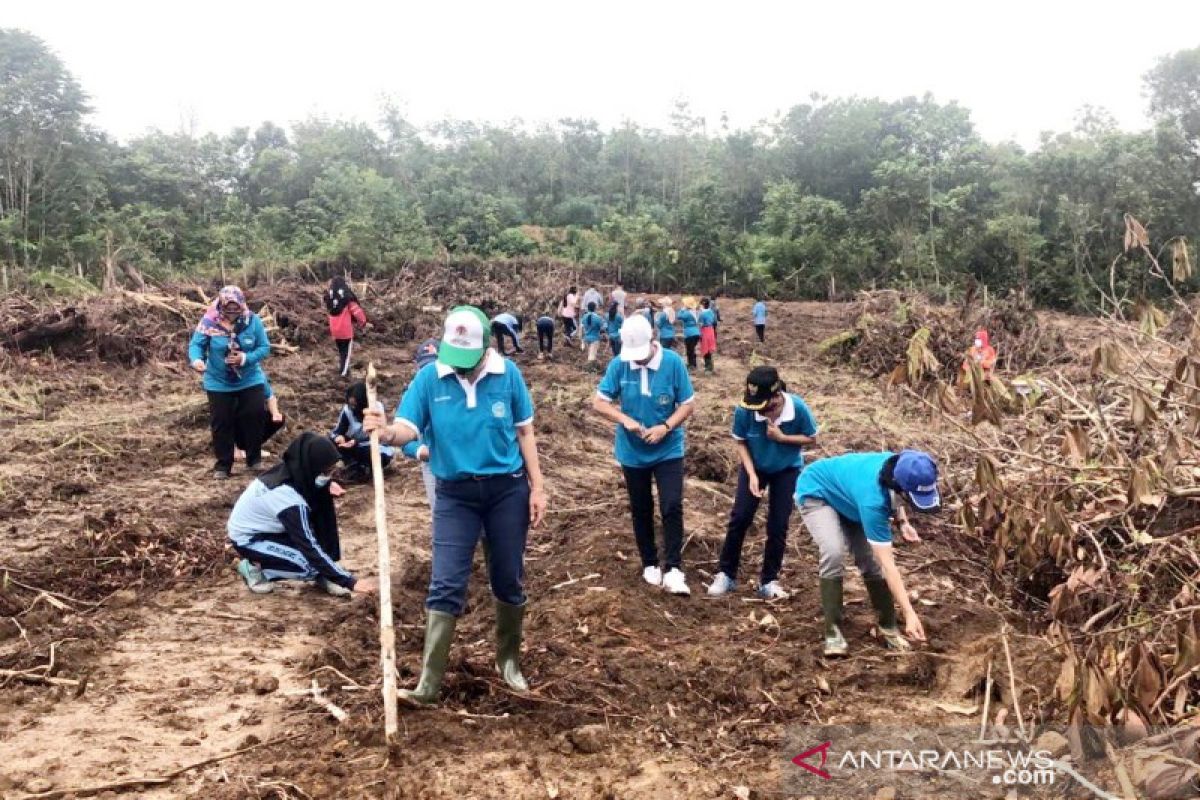 Generasi muda Lamandau didorong menjadi petani handal