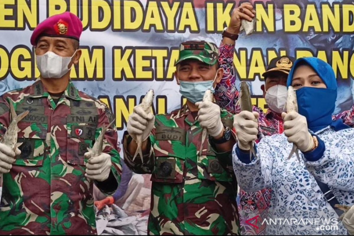 Kreatifitas desa binaan Lanal Banten pulihkan perekonomian masyarakat pesisir pantai ditengah pandemi