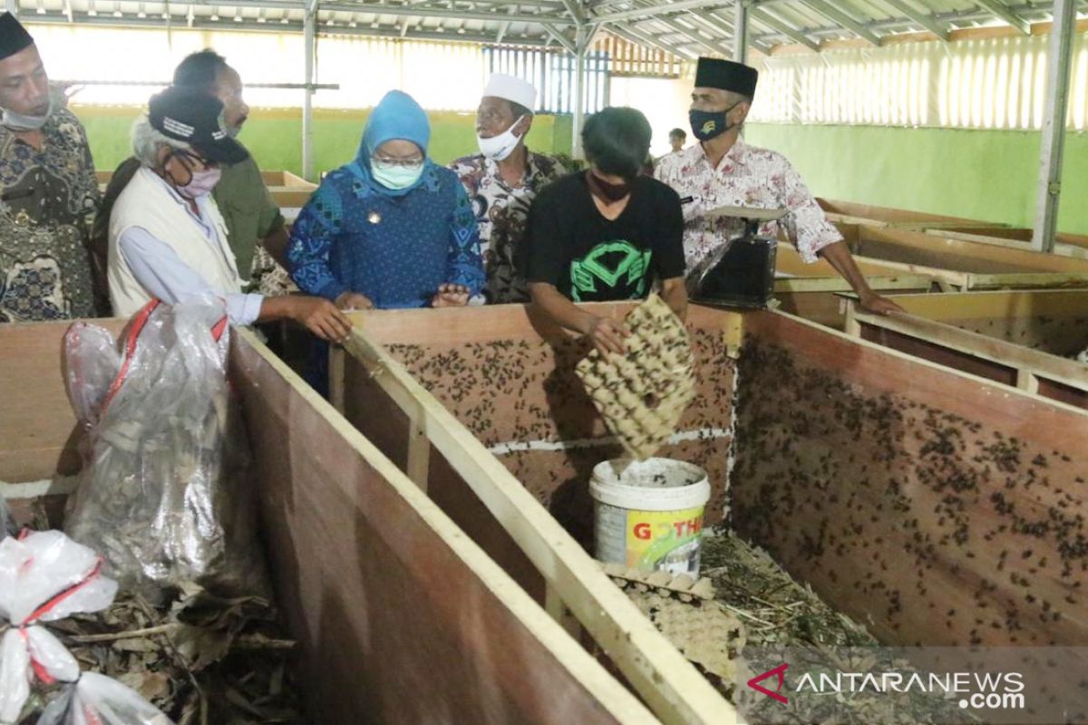 Bupati Bogor bagikan hewan ternak di Pamijahan untuk dongkrak produksi daging