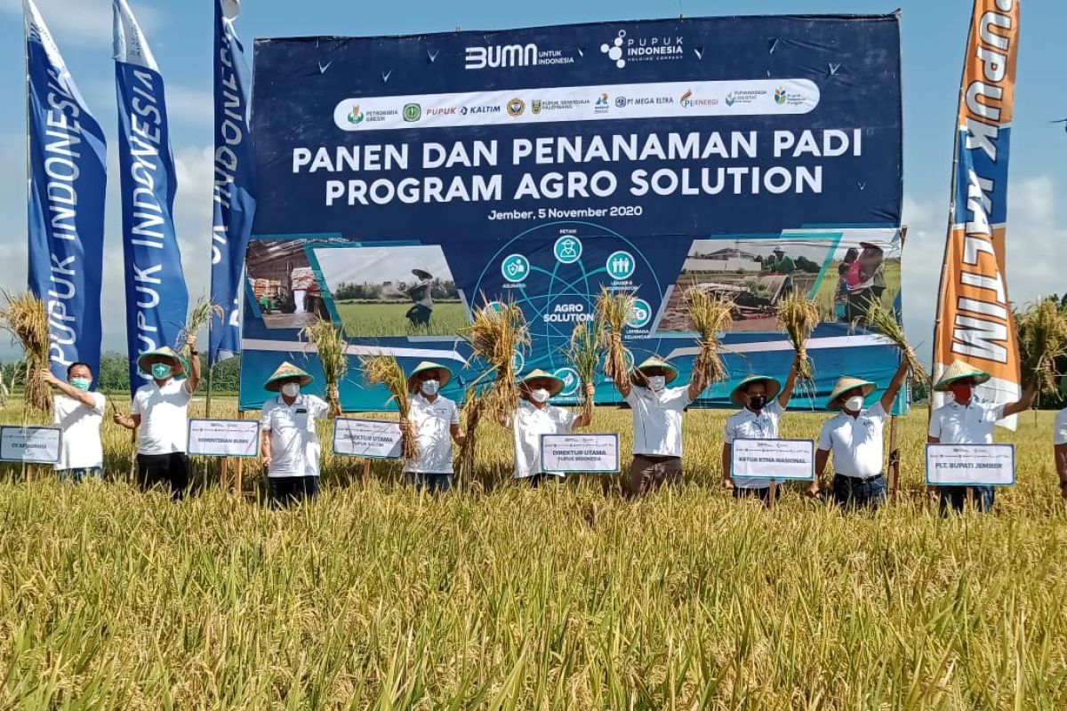 Dirut Pupuk Indonesia: Agro Solution bakal dongkrak produksi pertanian