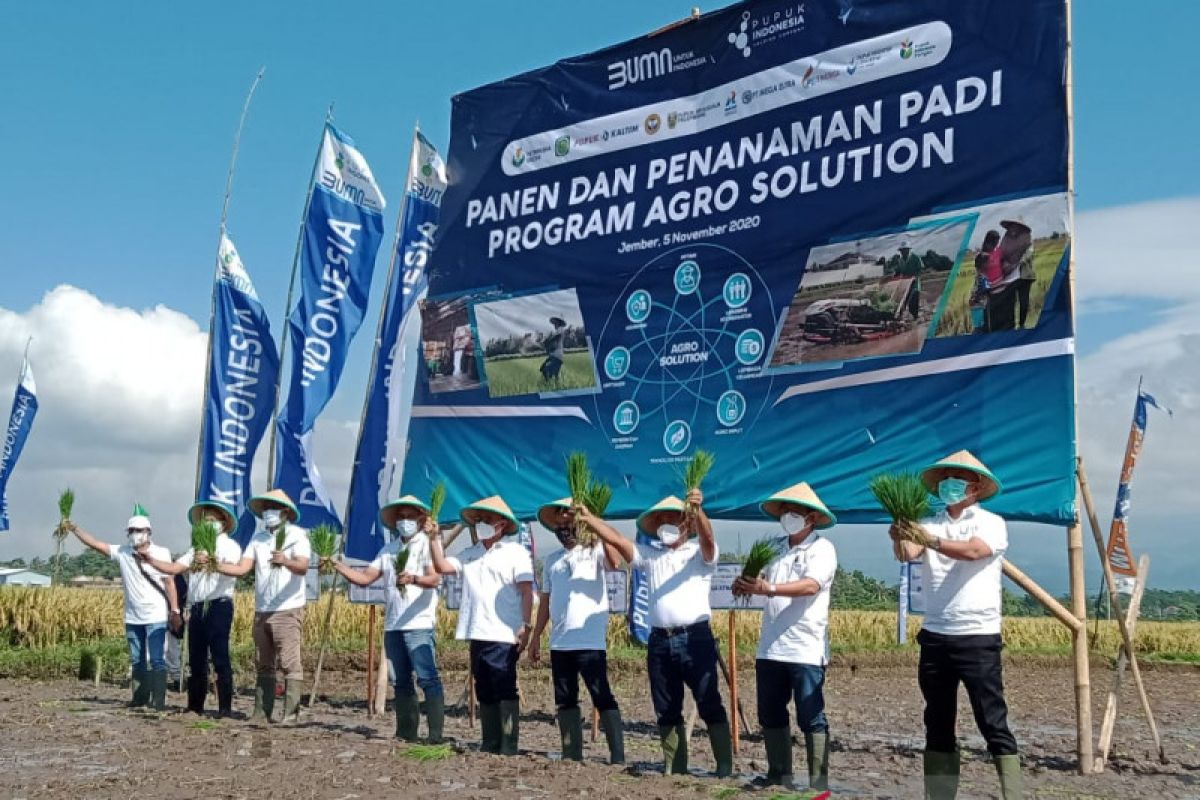 Pupuk Kaltim kembangkan program Agro solution pada 15 kecamatan di Jember