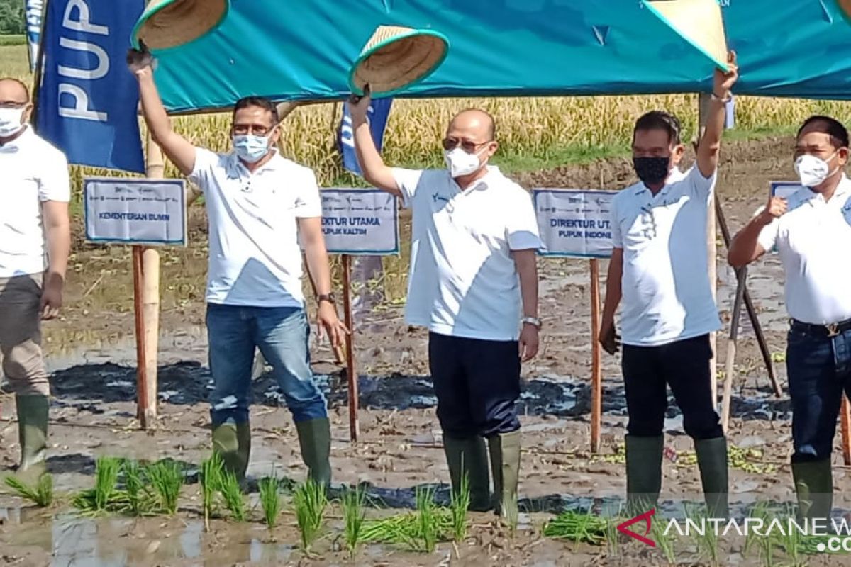 Tambahan alokasi, Pupuk Indonesia pastikan tidak ada kelangkaan pupuk subsidi