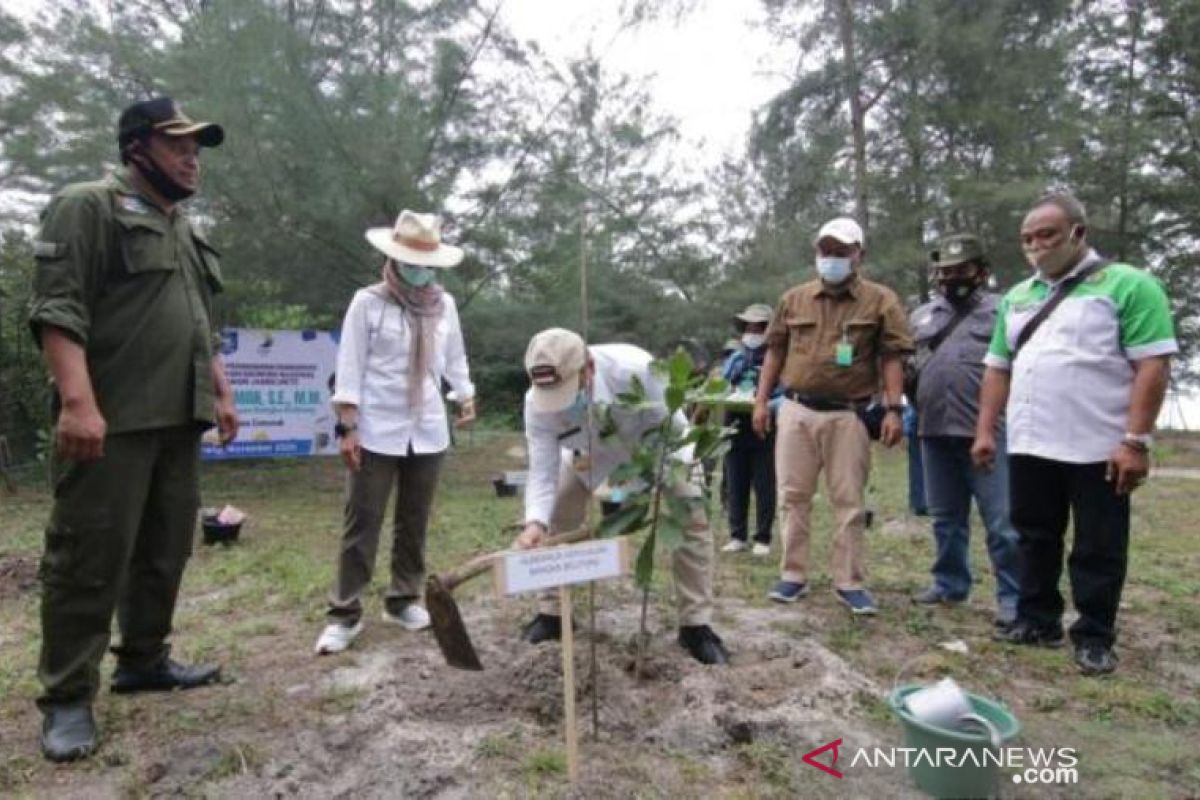 Babel kembangkan 750 hektare bakau Gusong Bugis kawasan wisata