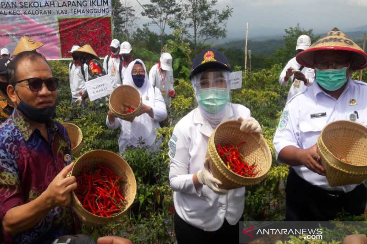 Pemahaman cuaca dan iklim jadikan kemandirian petani