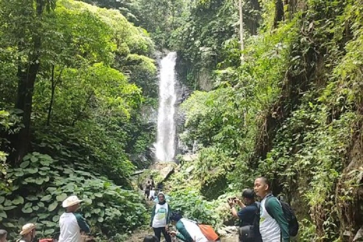 Lampung gali potensi wisata alam yang berada di kawasan hutan