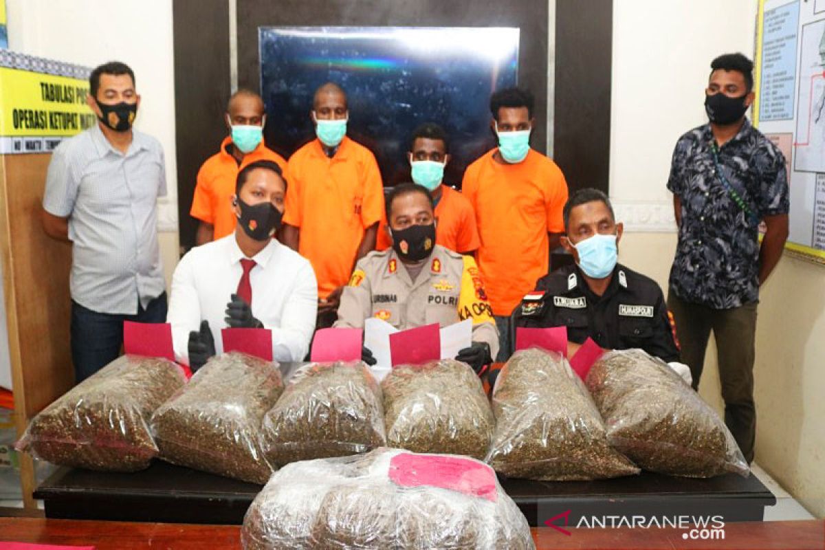 Bawa 10 kg ganja ke Jayapura, empat WN PNG ditangkap