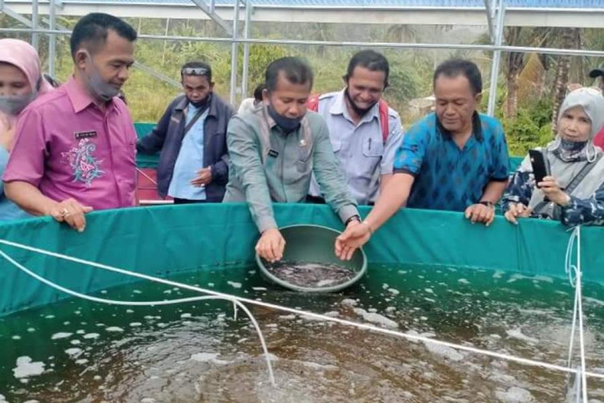 Dua kelompok pembudidaya Ikan di Tanjungraya Agam peroleh bantuan kolam bioflok