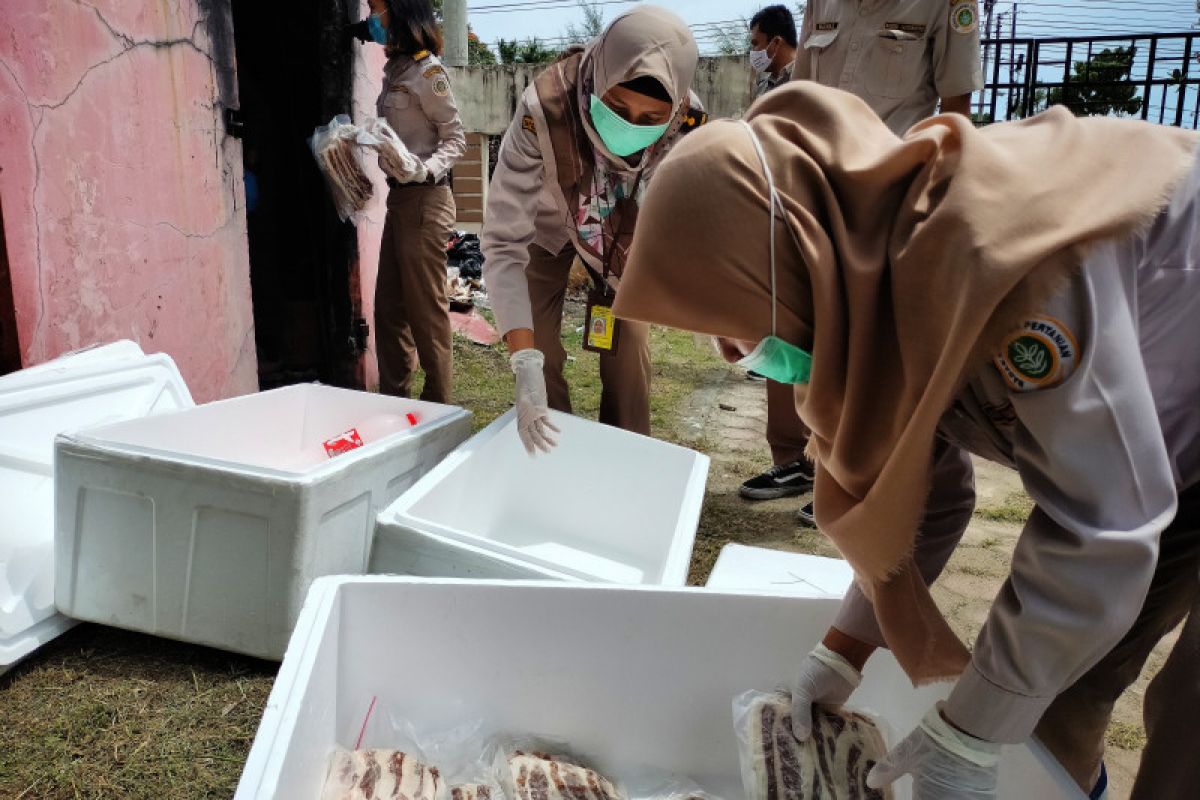 Pemkab Manokwari larang pengiriman unggas dewasa dari luar Papua