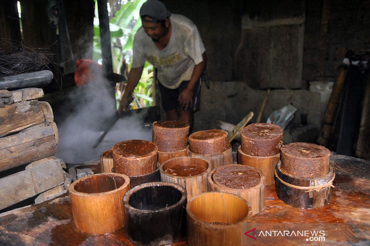 Desa Pedawa di Buleleng gencar tanam pohon aren