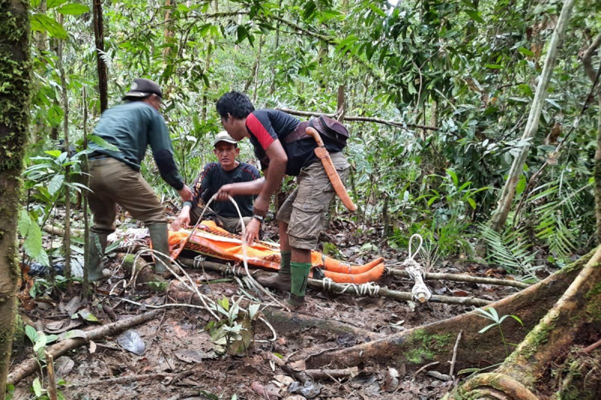 Kepala Resort BKSDA Bengkulu meninggal saat survei gajah liar