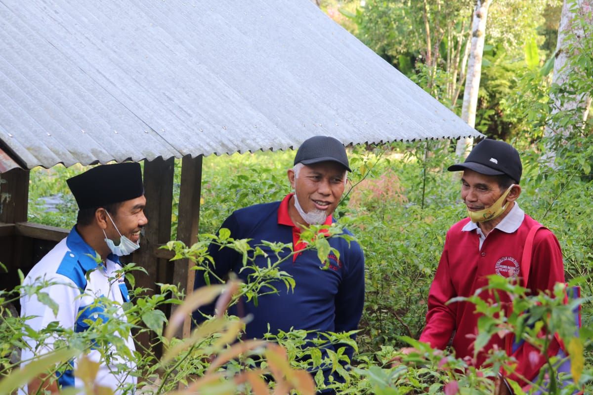 Mahyeldi  akan  tingkatkan pendapatan petani kopi lewat hilirisasi