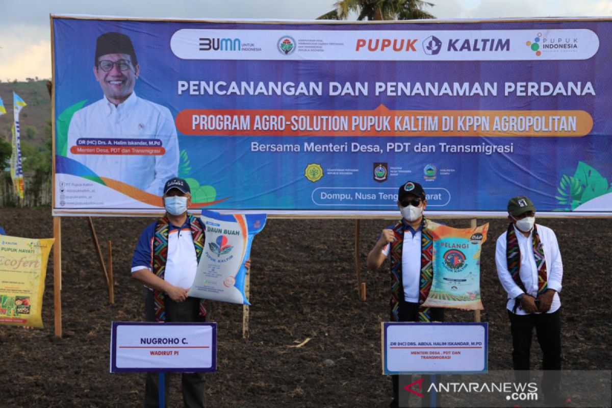 Pupuk Indonesia dongkrak produktivitas jagung lewat Agro Solution