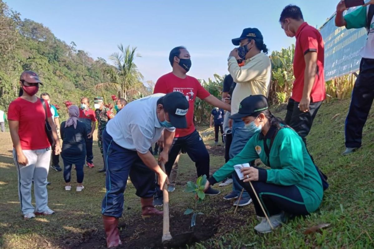 Pemkab-Kodim Buleleng tanam 700 pohon untuk hutan desa