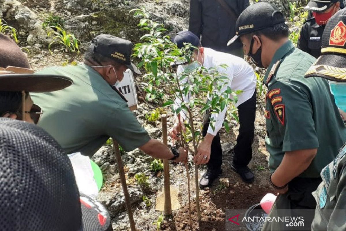 Perhutani Pati akan hijaukan 20 hektare lahan di Bukit Pandang