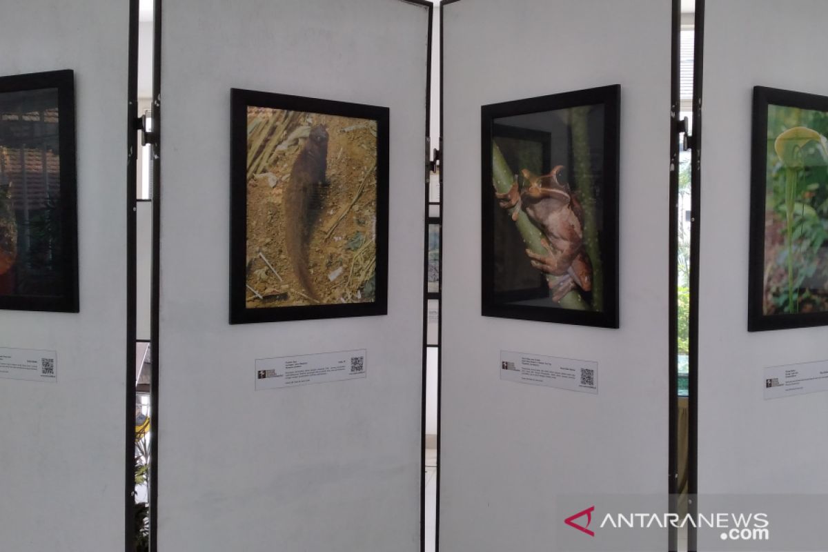 TN Gunung Halimun Salak gelar pameran foto puspa dan satwa langka