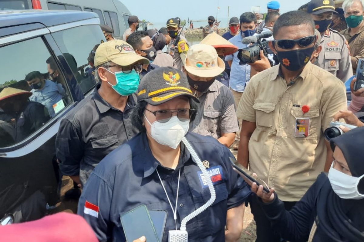 Tanam mangrove di Indonesia, Kementerian LHK bakal kerahkan 5,9 juta pekerja