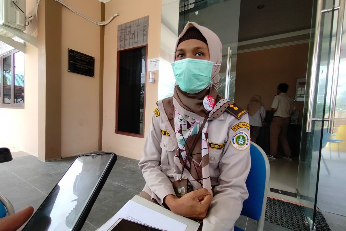 SKP Manokwari antisipasi penyelundupan hewan penular virus rabies