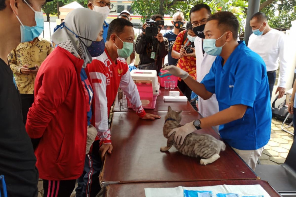 Warga Jaksel terdampak COVID-19 ikut vaksinasi hewan gratis