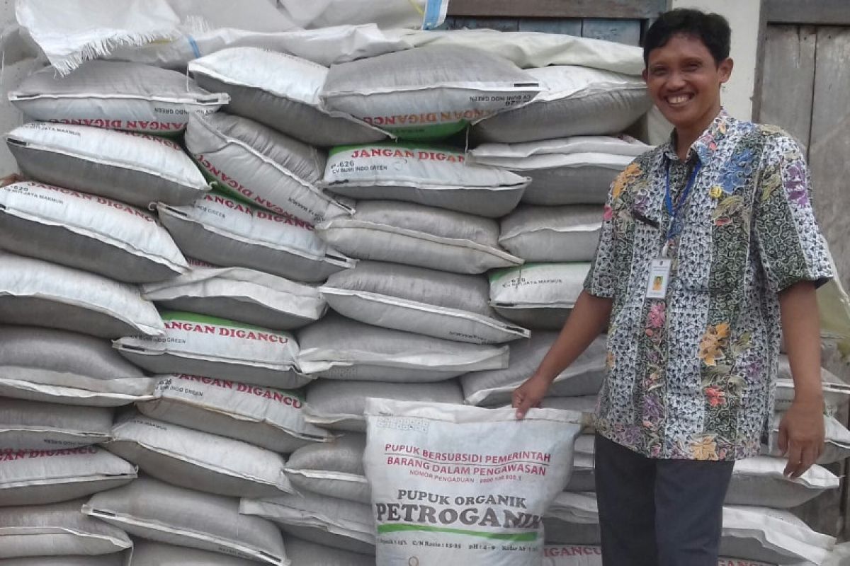 Ketersediaan pupuk bersubsidi di Kudus untuk MT I cukup