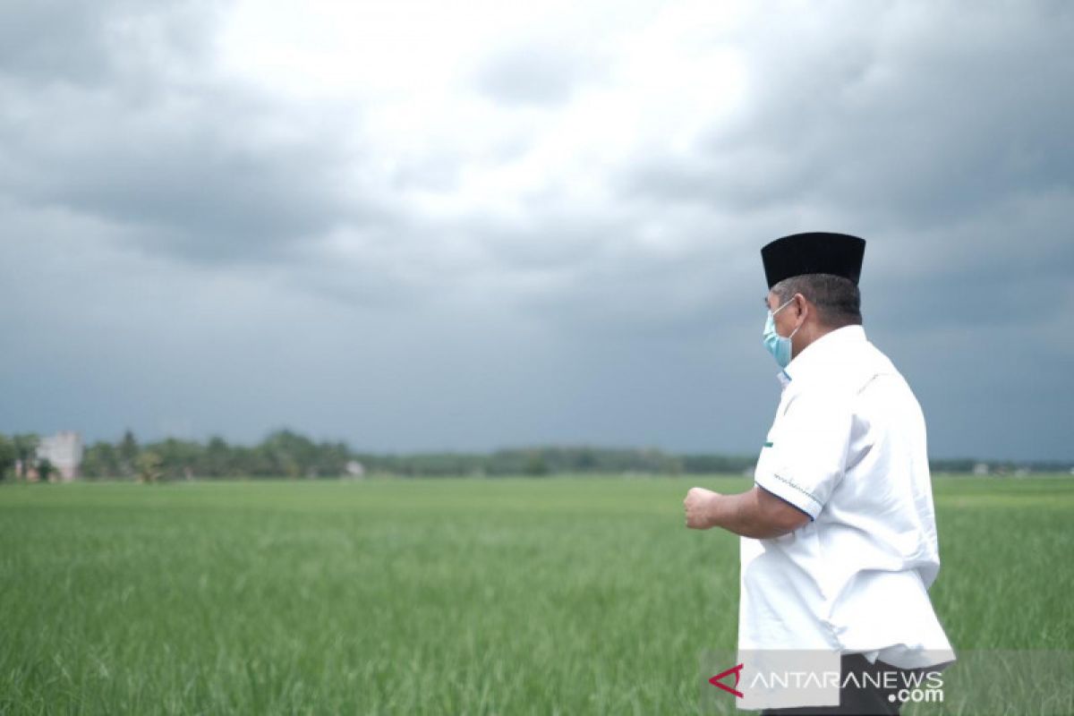 Turun ke sawah, Alfedri-Husni targetkan Siak swasembada pangan