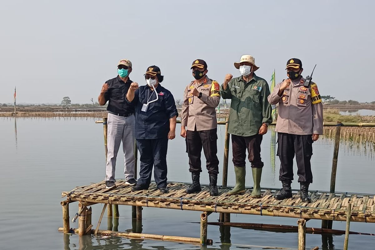 Menteri LHK pantau progres penanaman Mangrove di Kabupaten Serang
