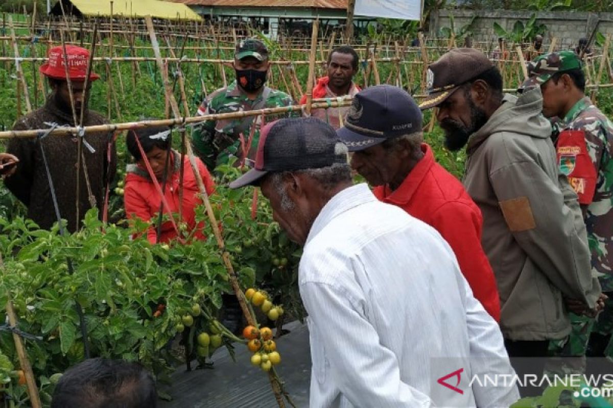 Pemkab Jayawijaya harapkan TNI bantu memotivasi petani Jayawijaya