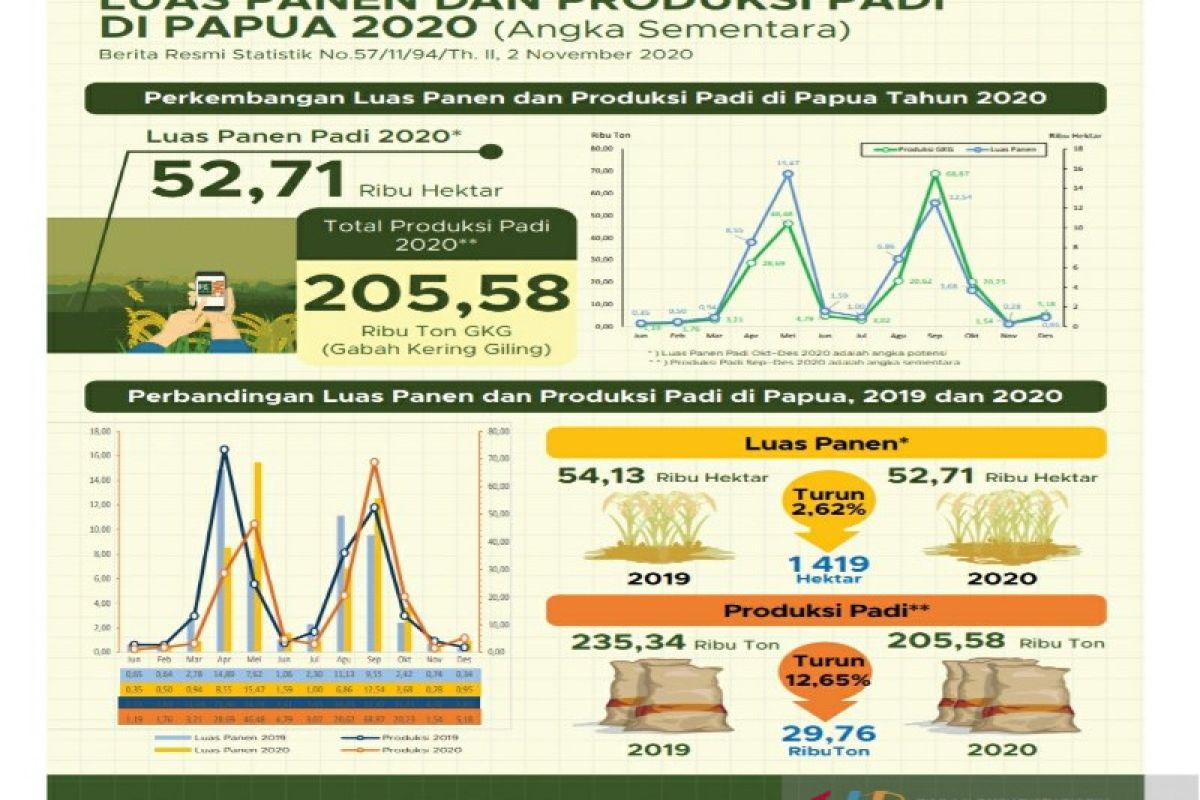 Produksi padi Papua periode Januari-September turun