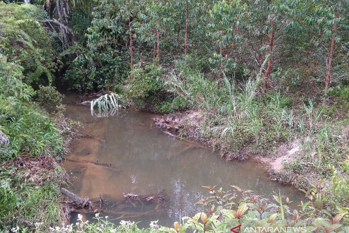 Pemkab Taput desak TPL lakukan tiga hal soal dugaan pencemaran air di Sipahutar