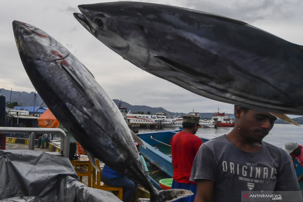 Menteri Trenggono: KKP kembangkan lima koridor logistik ikan