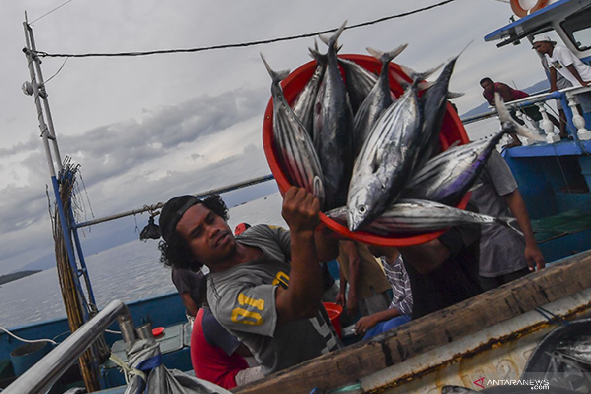 BPS: Ekspor Maluku bulan Oktober 2020 turun