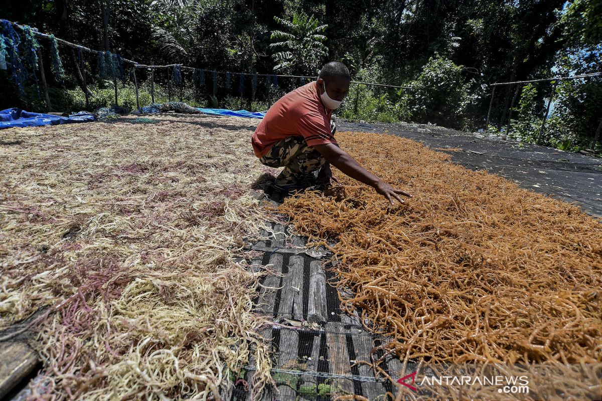 BPS : Provinsi Maluku Januari 2021 naik 0,90 persen