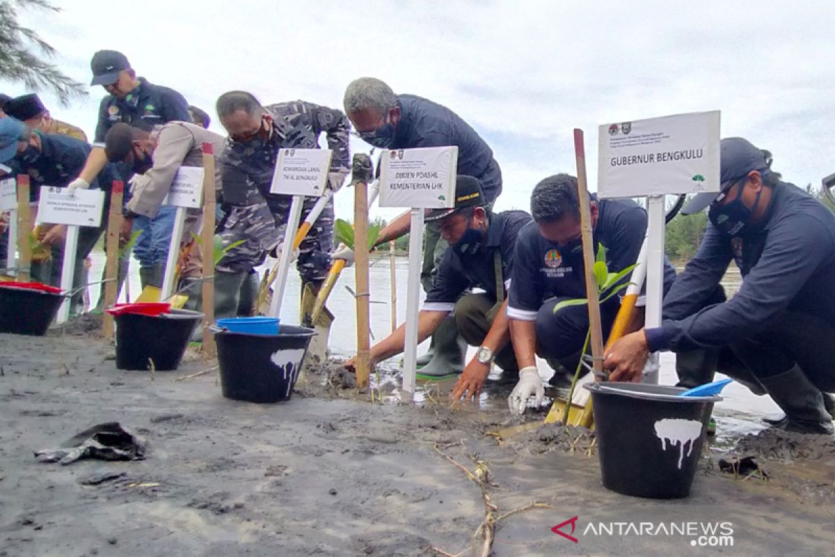 BNPB : Hutan pantai mampu mereduksi gelombang tsunami